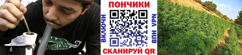 Купить закладки  Ленск  Канабис ГИДРОПОН 